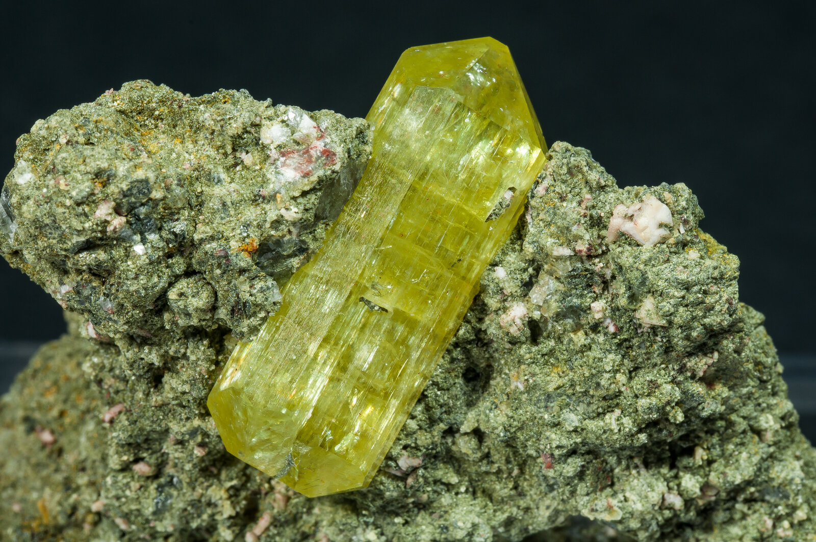 specimens/s_fastAP5/SV230TTA-detail.jpg