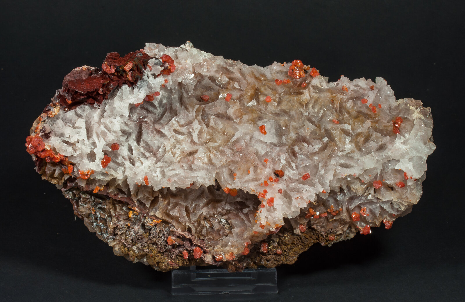 specimens/s_fastAP5/SV240TXR.jpg