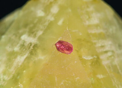 Rhodizite with Tourmaline (Group)