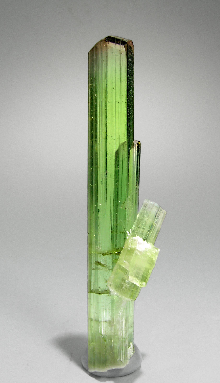 specimens/s_images35/Elbaite-Tourmaline-TG31C5r.jpg