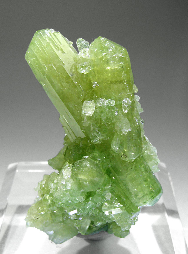 specimens/s_images35/Vesuvianite-TJ89C5.jpg