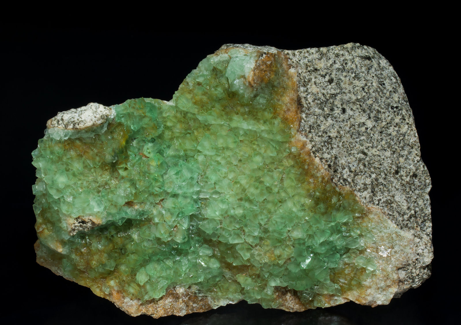 specimens/s_imagesAA2/Fluorite-RD9AA2f.jpg