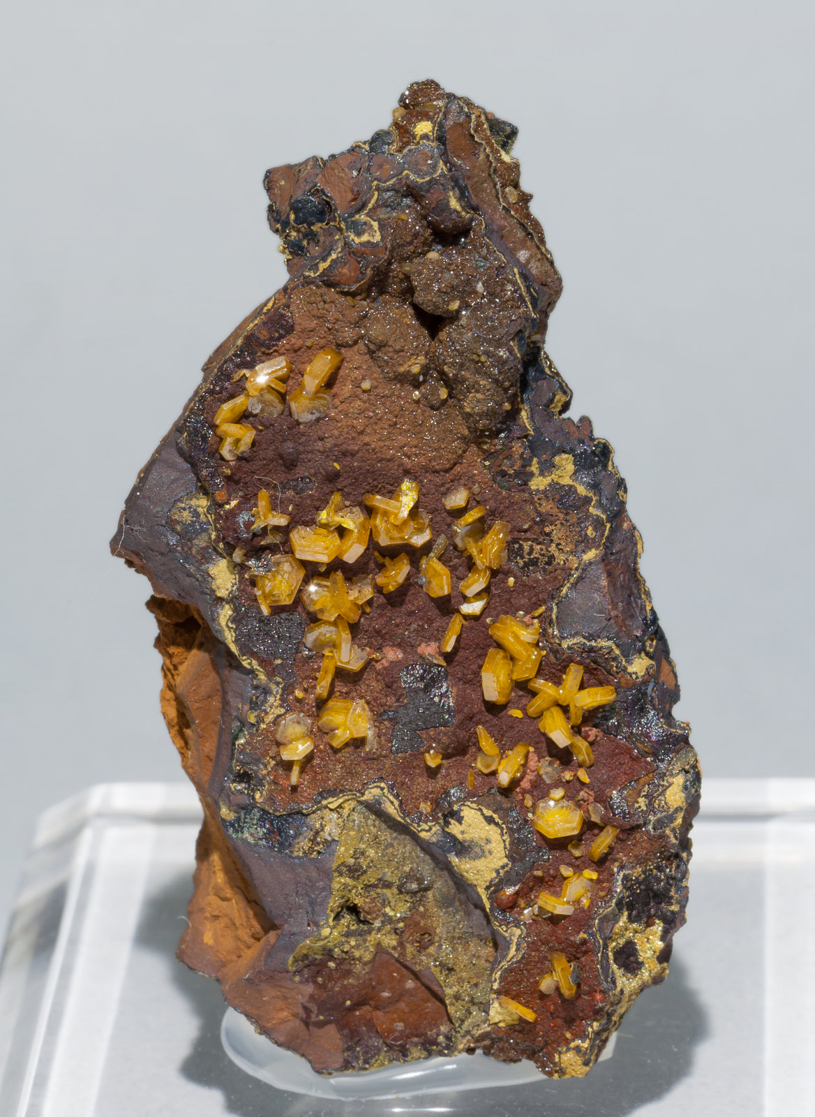 specimens/s_imagesAA3/Mimetite-NX60AA3f.jpg