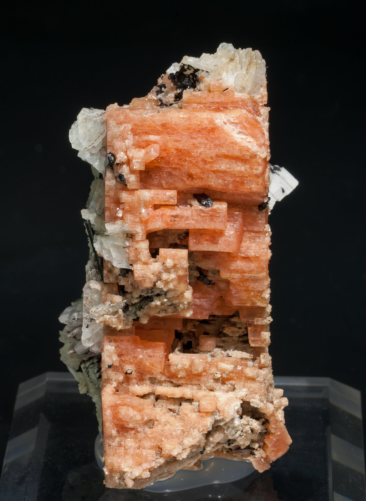 specimens/s_imagesAA3/Serandite-EV90AA3f.jpg