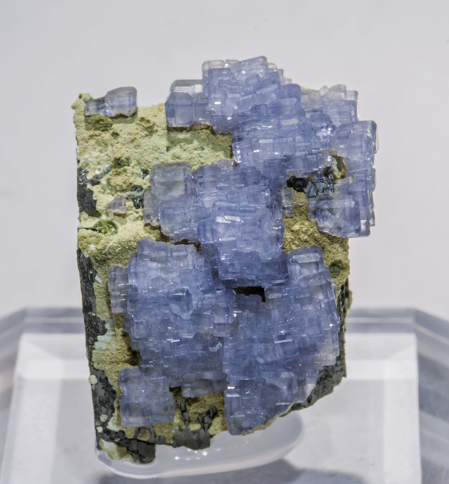 specimens/s_imagesAA4/Fluorite-NA13AA4f.jpg
