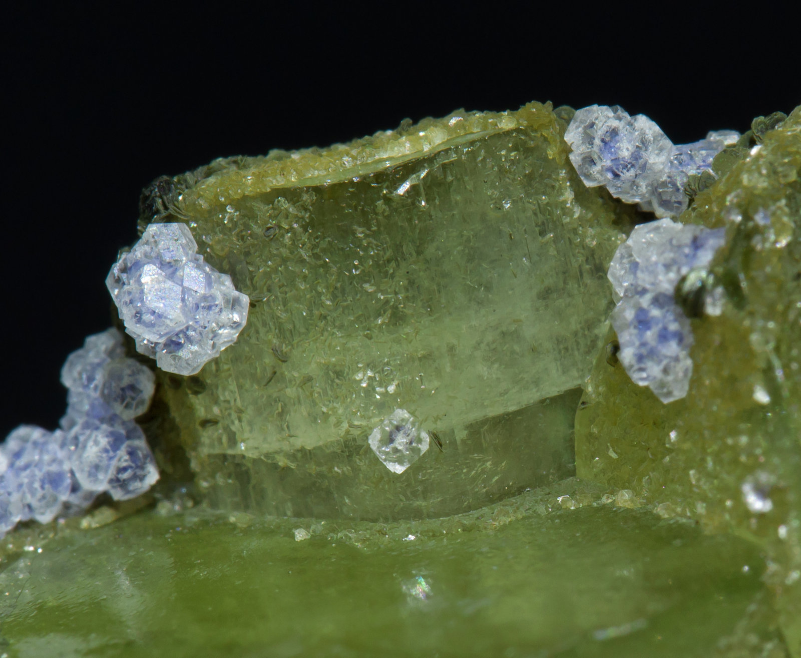 specimens/s_imagesAA7/Fluorite-NA7AA7d.jpg