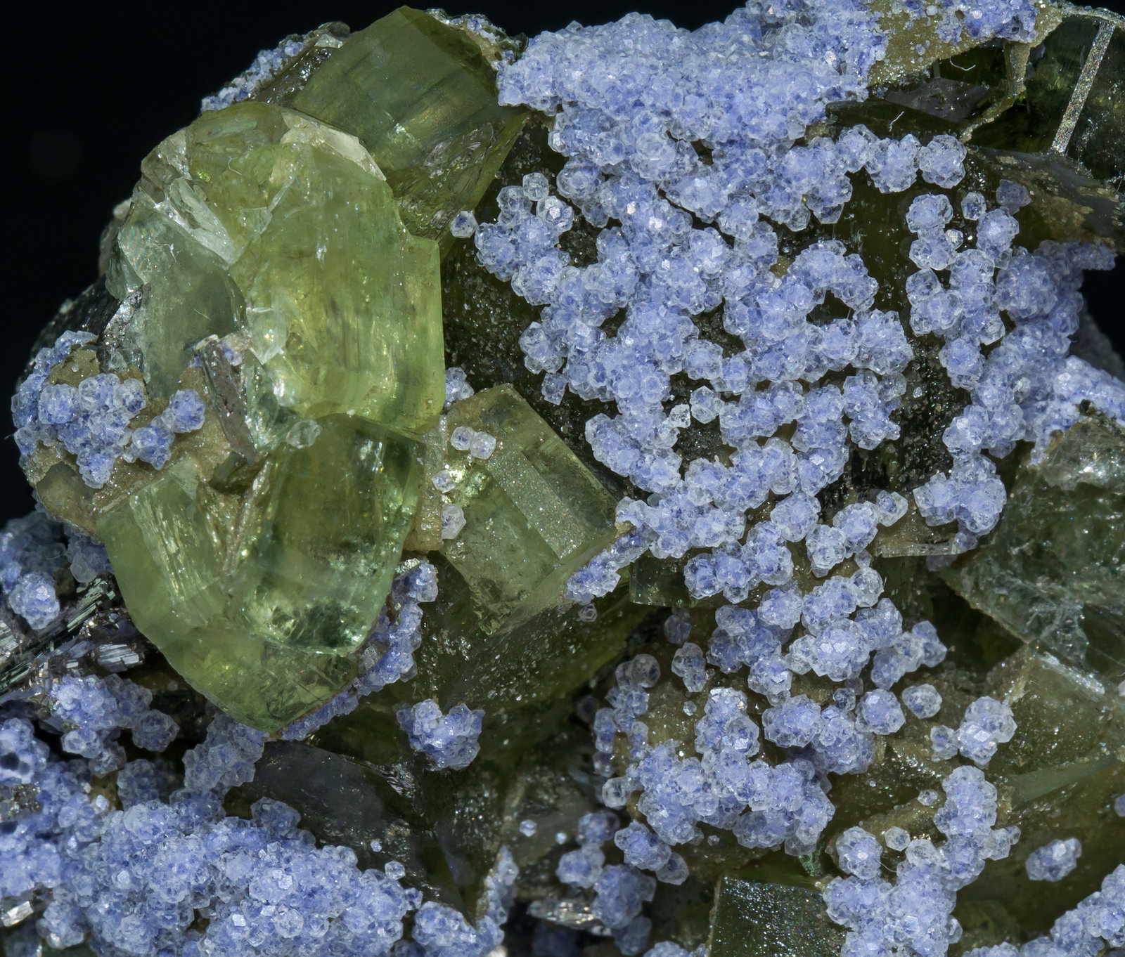 specimens/s_imagesAA7/Fluorite-NE59AA7d.jpg