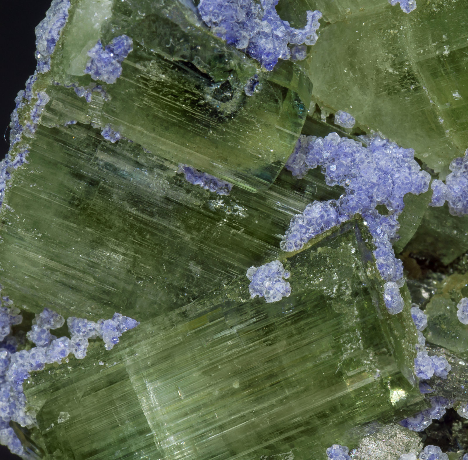 specimens/s_imagesAA7/Fluorite-NJ90AA7d.jpg