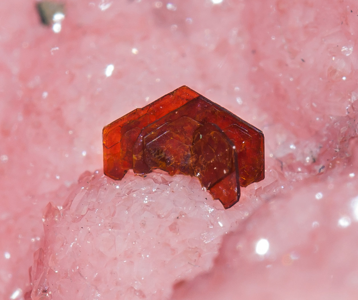 specimens/s_imagesAA7/Rhodochrosite-MH66AA7d.jpg