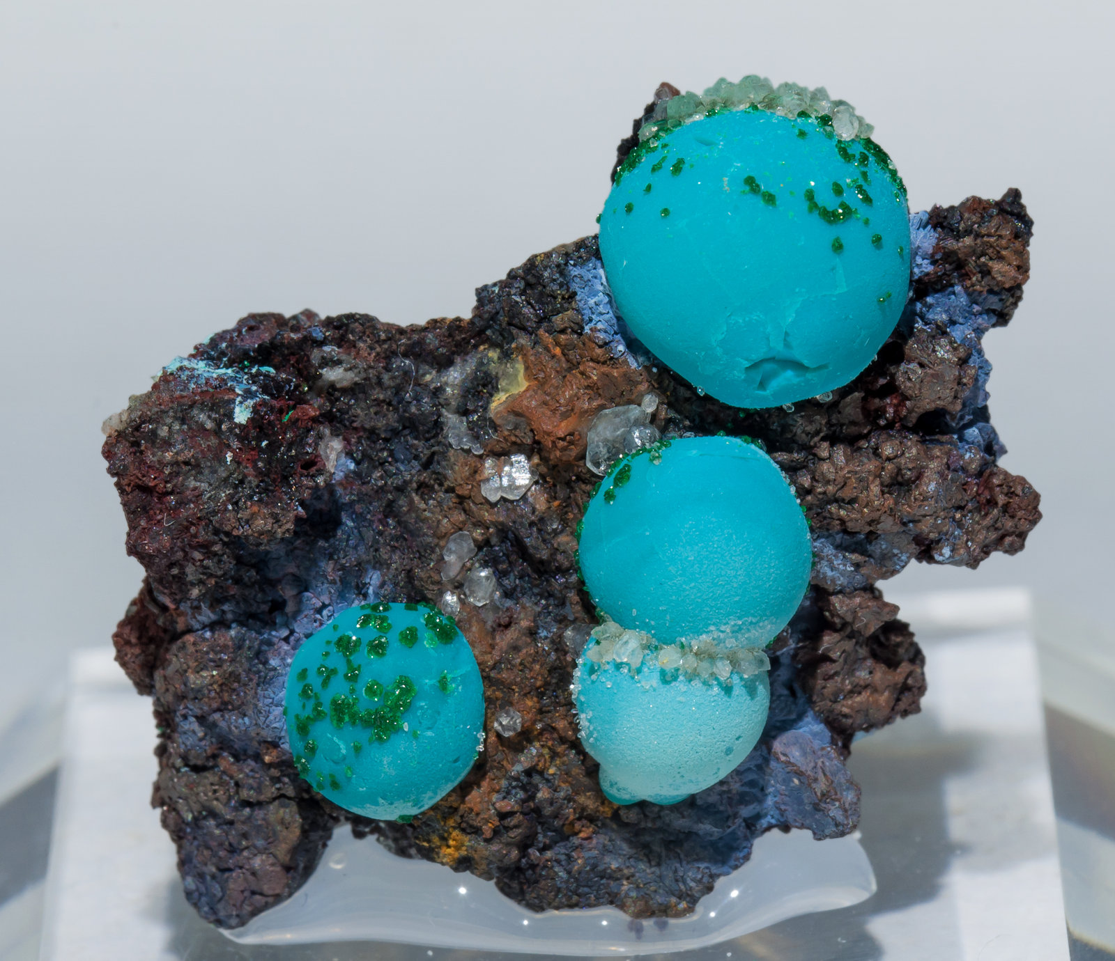 specimens/s_imagesAA8/Chrysocolla-MR46AA8f.jpg