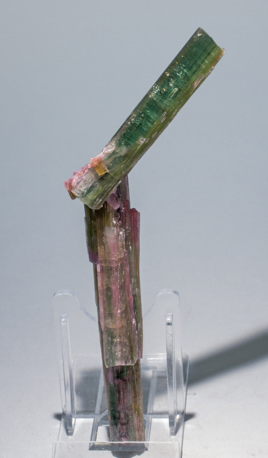 specimens/s_imagesAA8/Elbaite-NF74AA8f.jpg