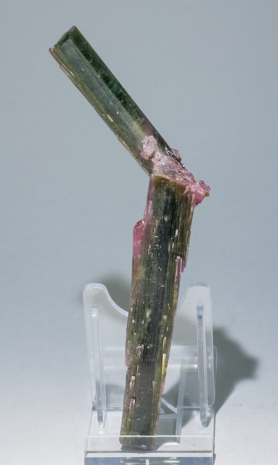 specimens/s_imagesAA8/Elbaite-NF74AA8r.jpg