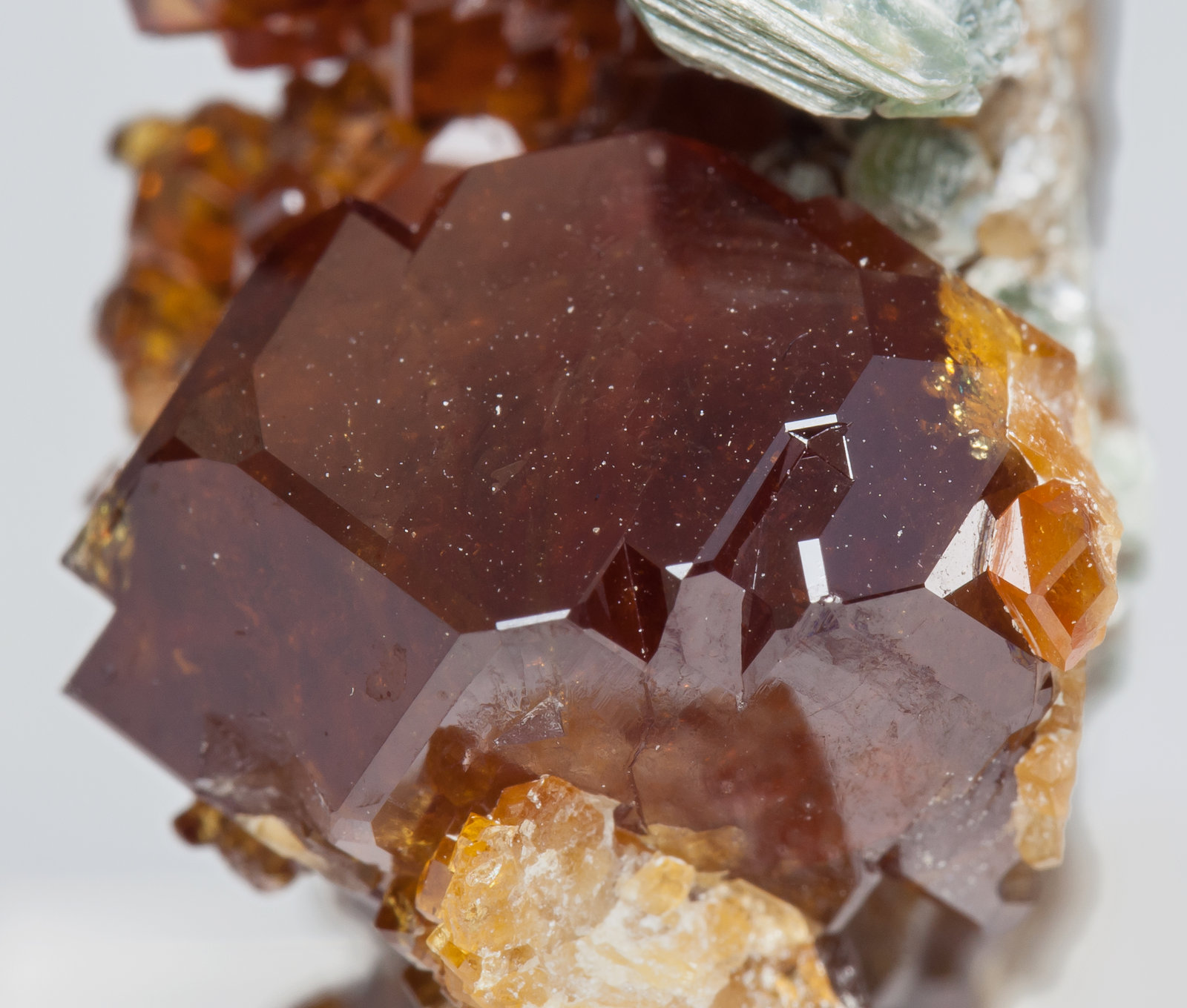specimens/s_imagesAA8/Grossular_hessonite-MT68AA8d.jpg