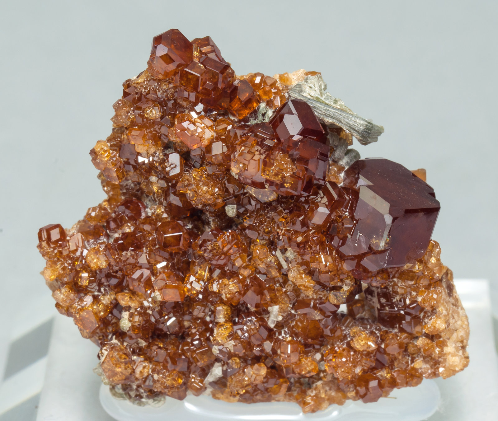 specimens/s_imagesAA8/Grossular_hessonite-MT68AA8f.jpg