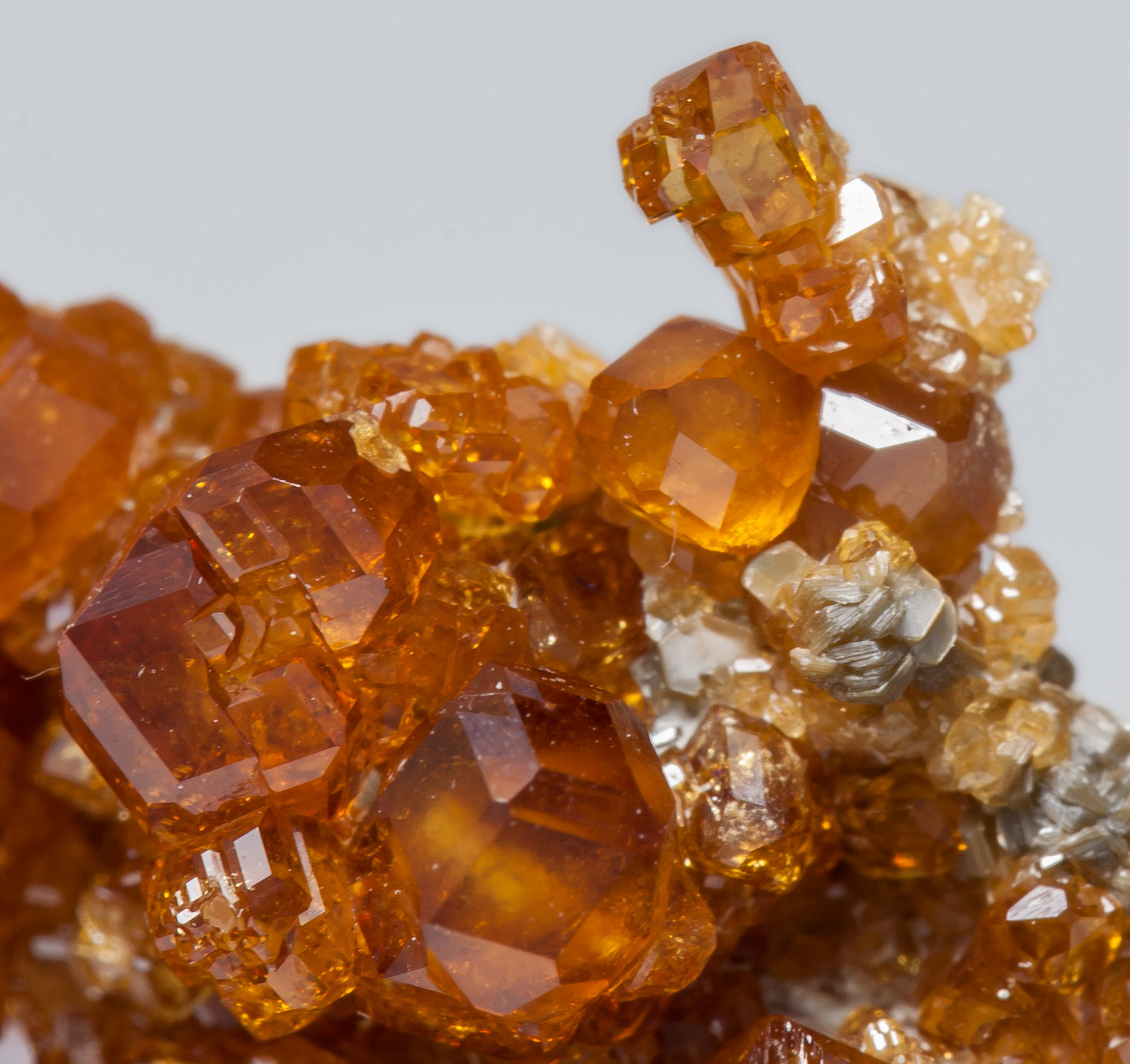 specimens/s_imagesAA8/Grossular_hessonite-MV89AA8d1.jpg