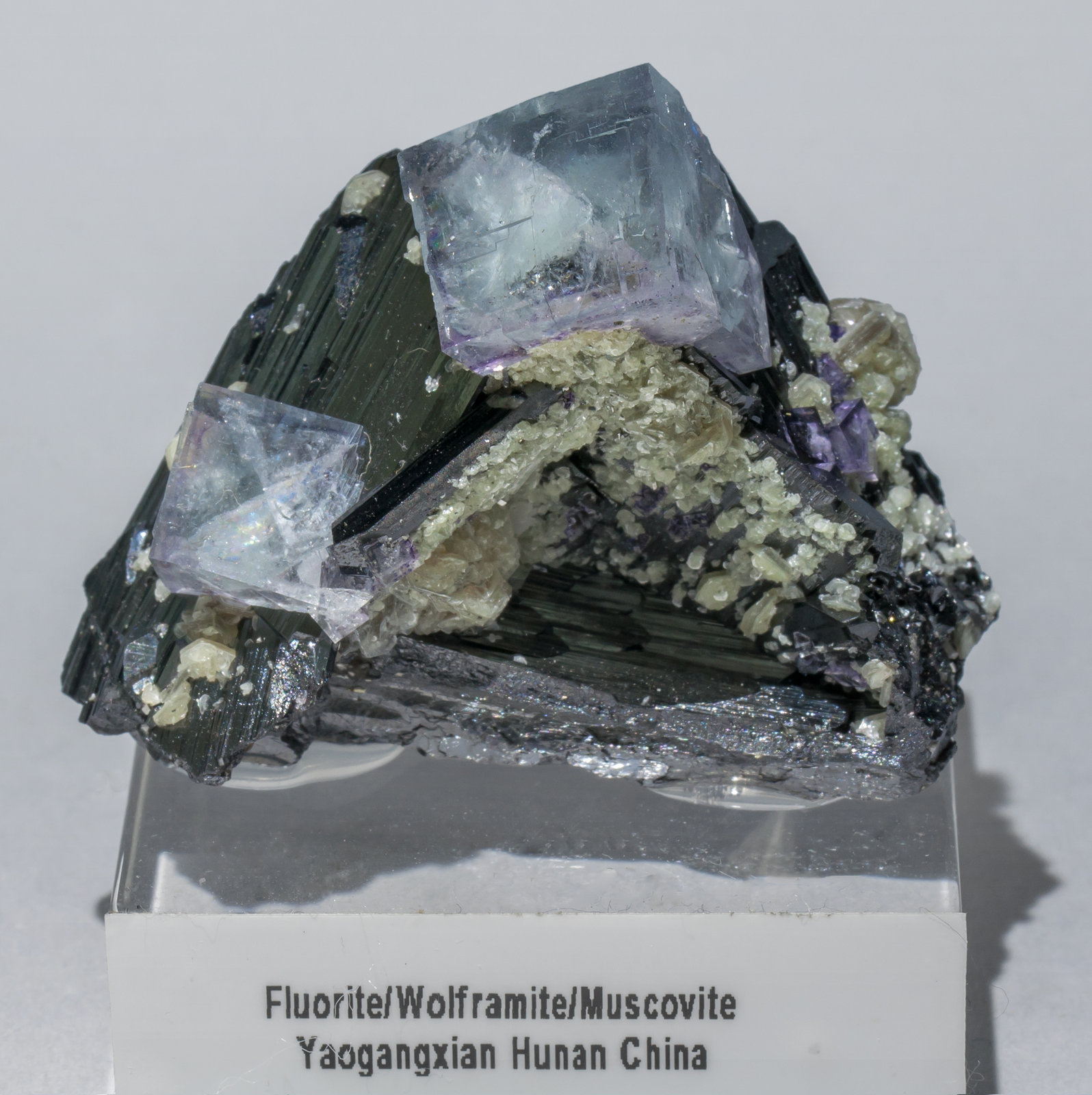 specimens/s_imagesAA9/Ferberite-FM27AA9f.jpg