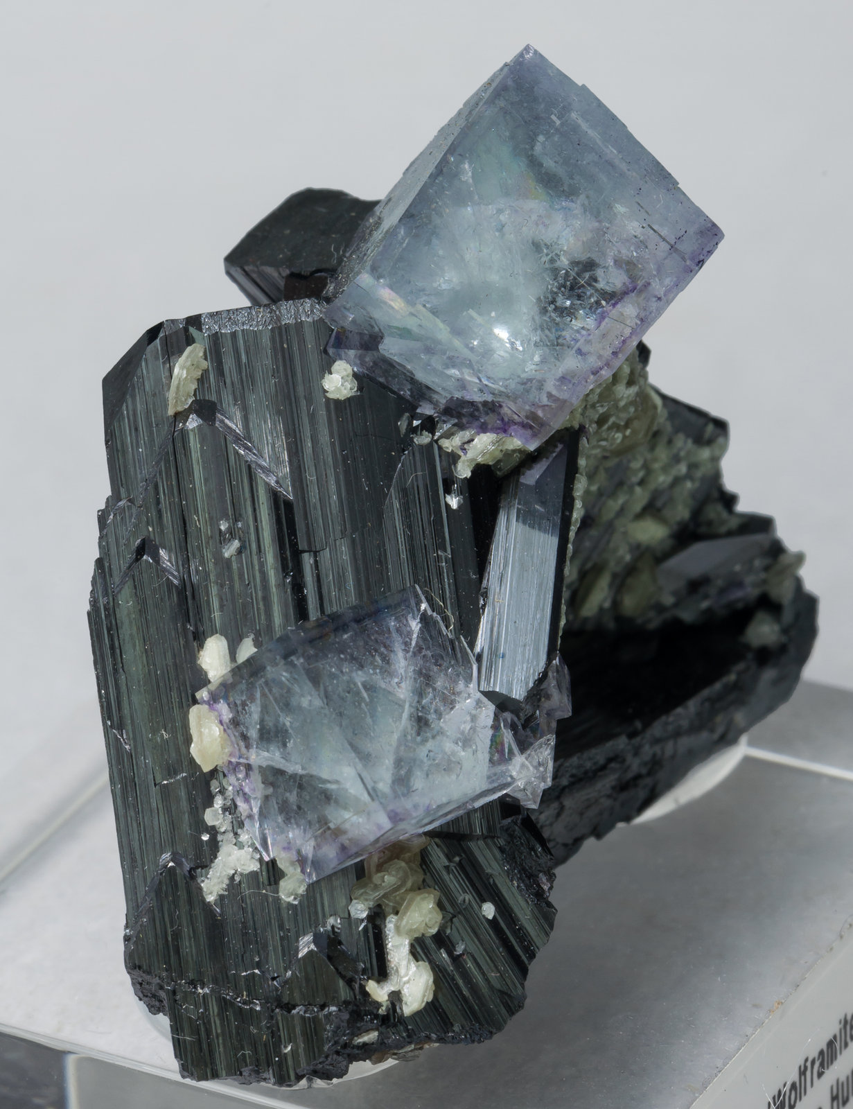 specimens/s_imagesAA9/Ferberite-FM27AA9s.jpg