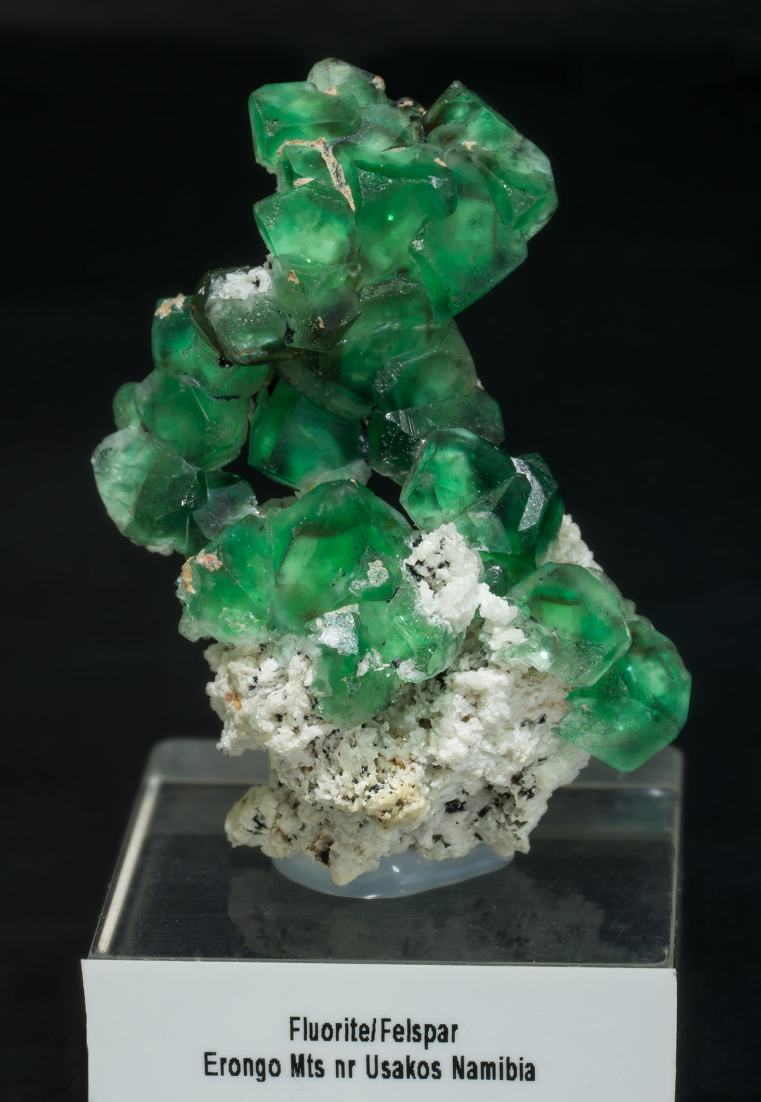 specimens/s_imagesAA9/Fluorite-FD16AA9f.jpg