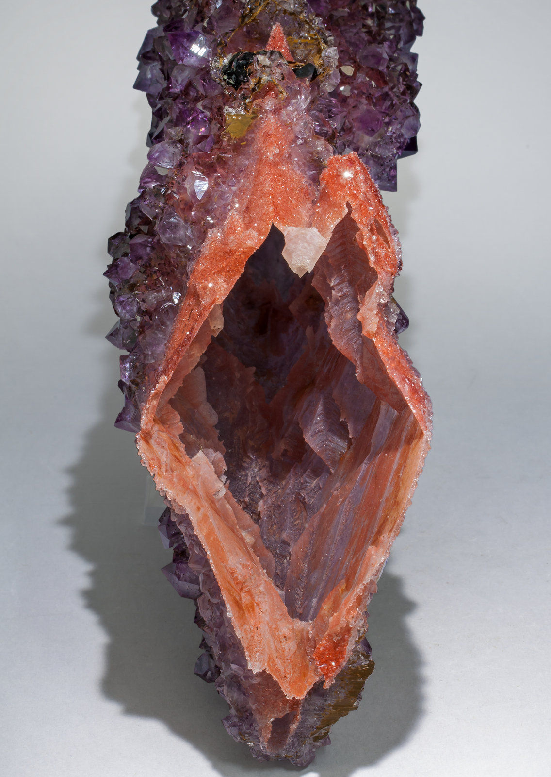 specimens/s_imagesAA9/Quartz_amethyst-MB93AA9d.jpg