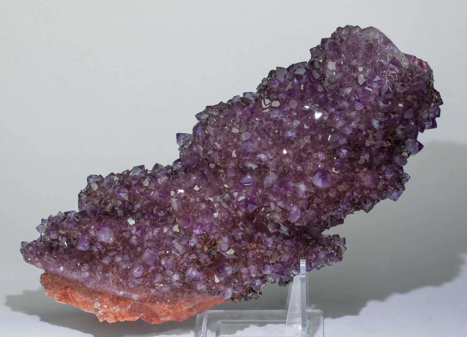 specimens/s_imagesAA9/Quartz_amethyst-MB93AA9f.jpg