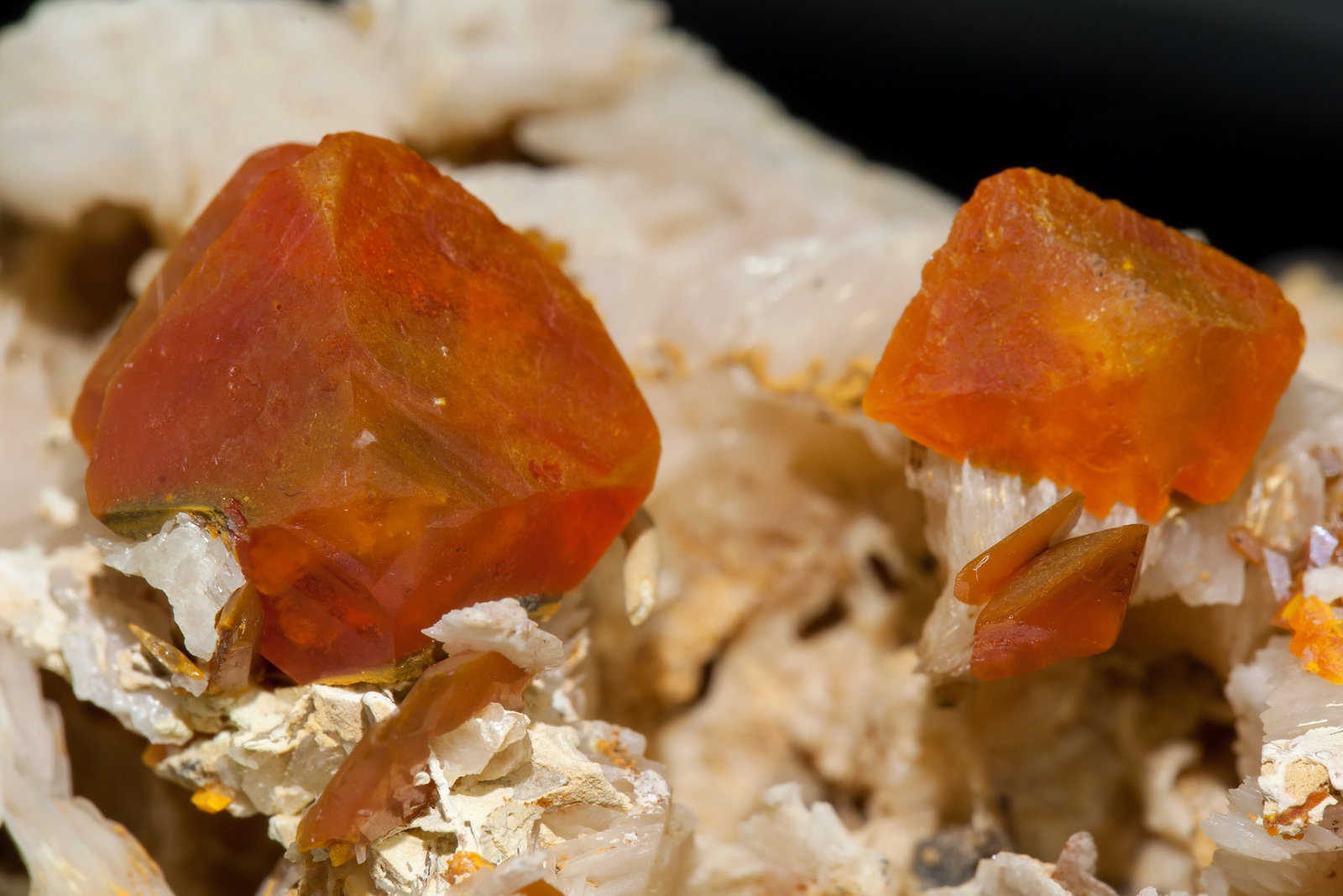 specimens/s_imagesAA9/Wulfenite-MA47AA9d.jpg