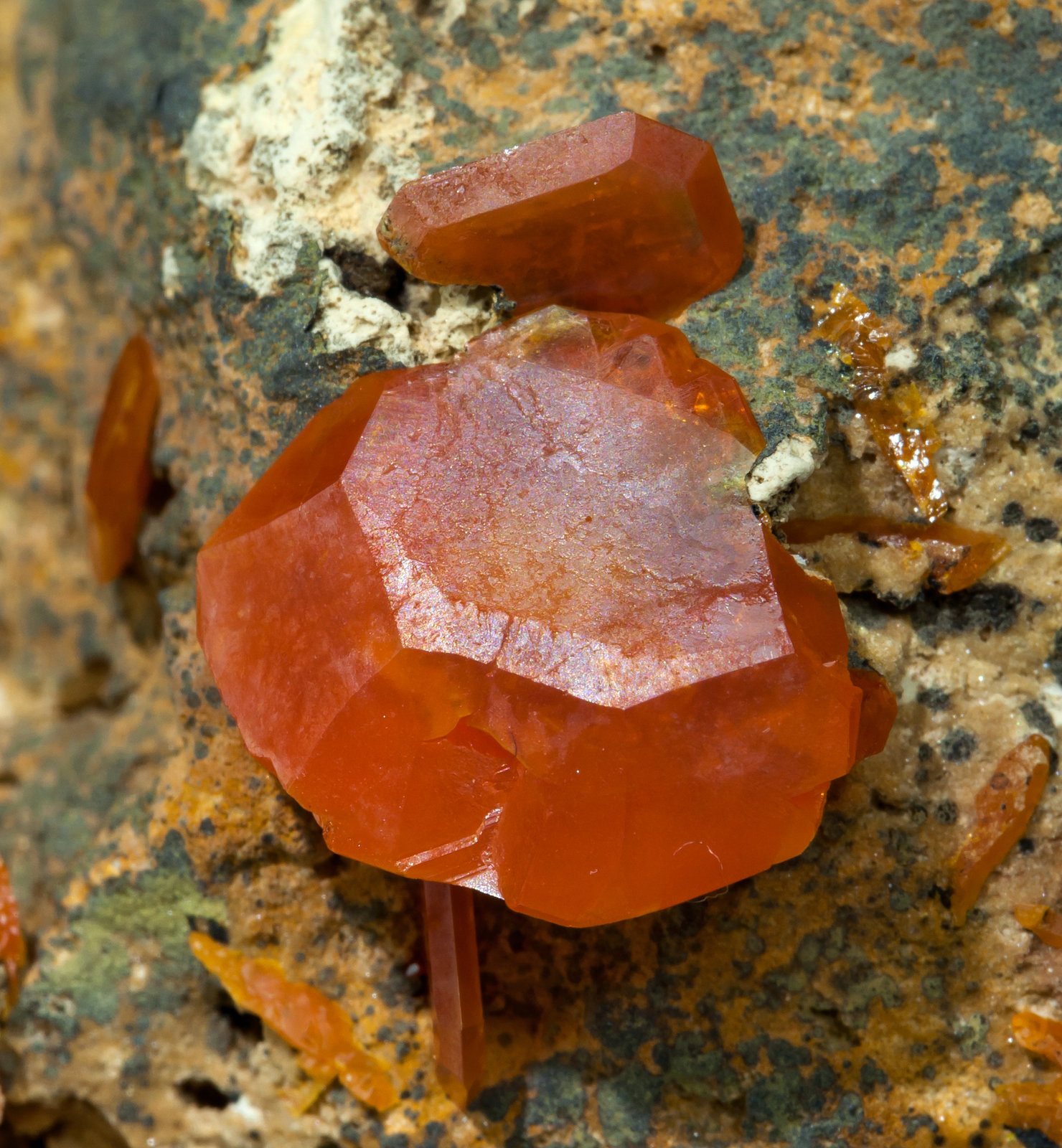 specimens/s_imagesAA9/Wulfenite-MG48AA9d.jpg