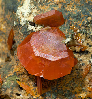 Wulfenite. 