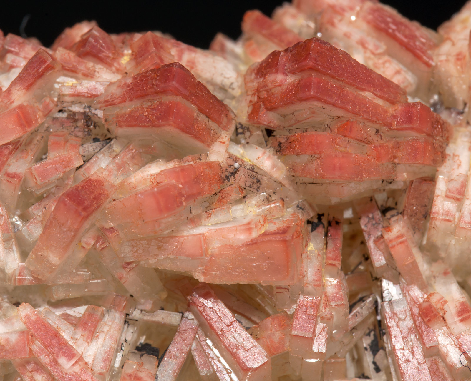 specimens/s_imagesAB1/Barite-MD46AB1d.jpg