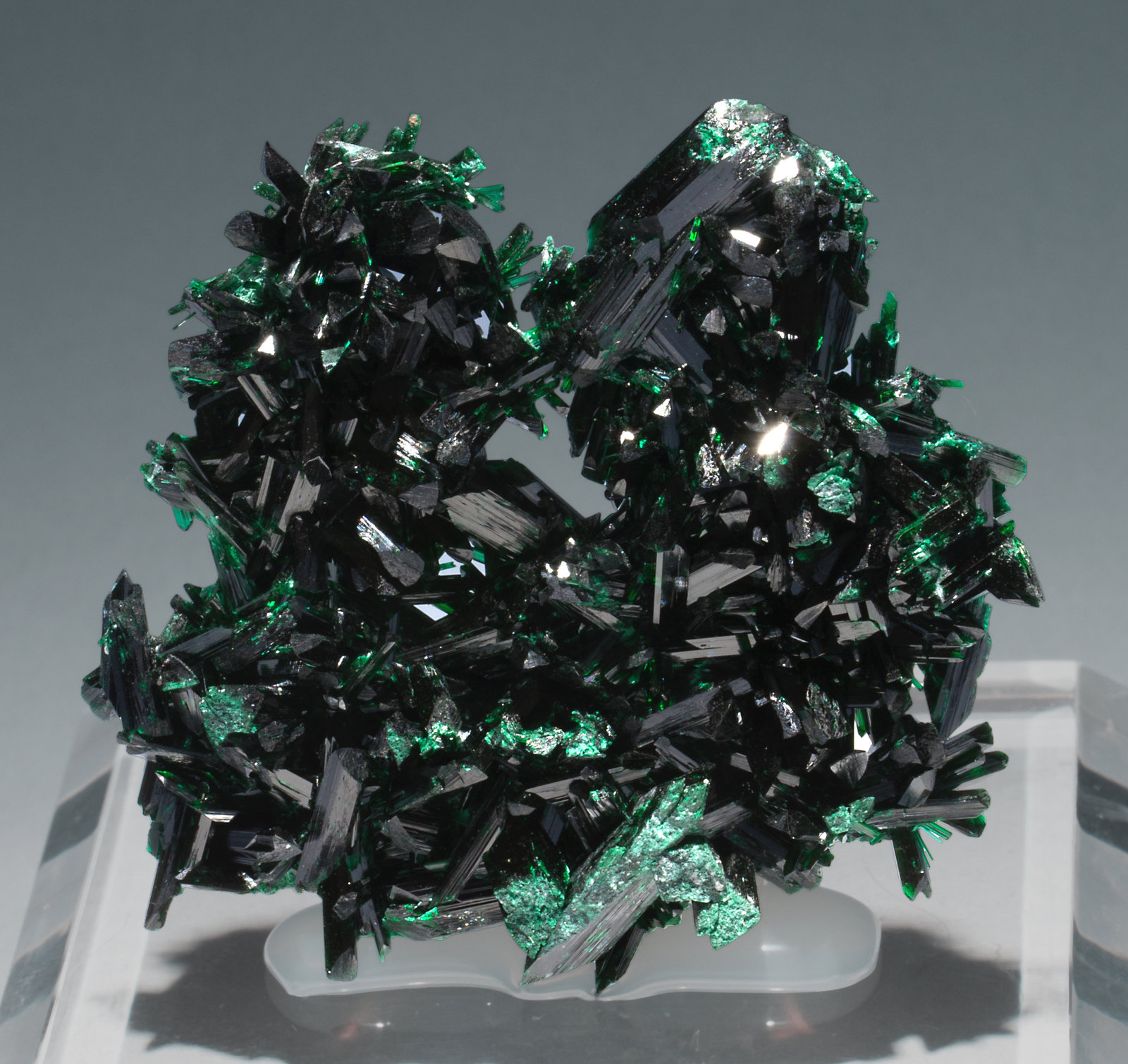 specimens/s_imagesAB1/Brochantite-TD73AB1f.jpg