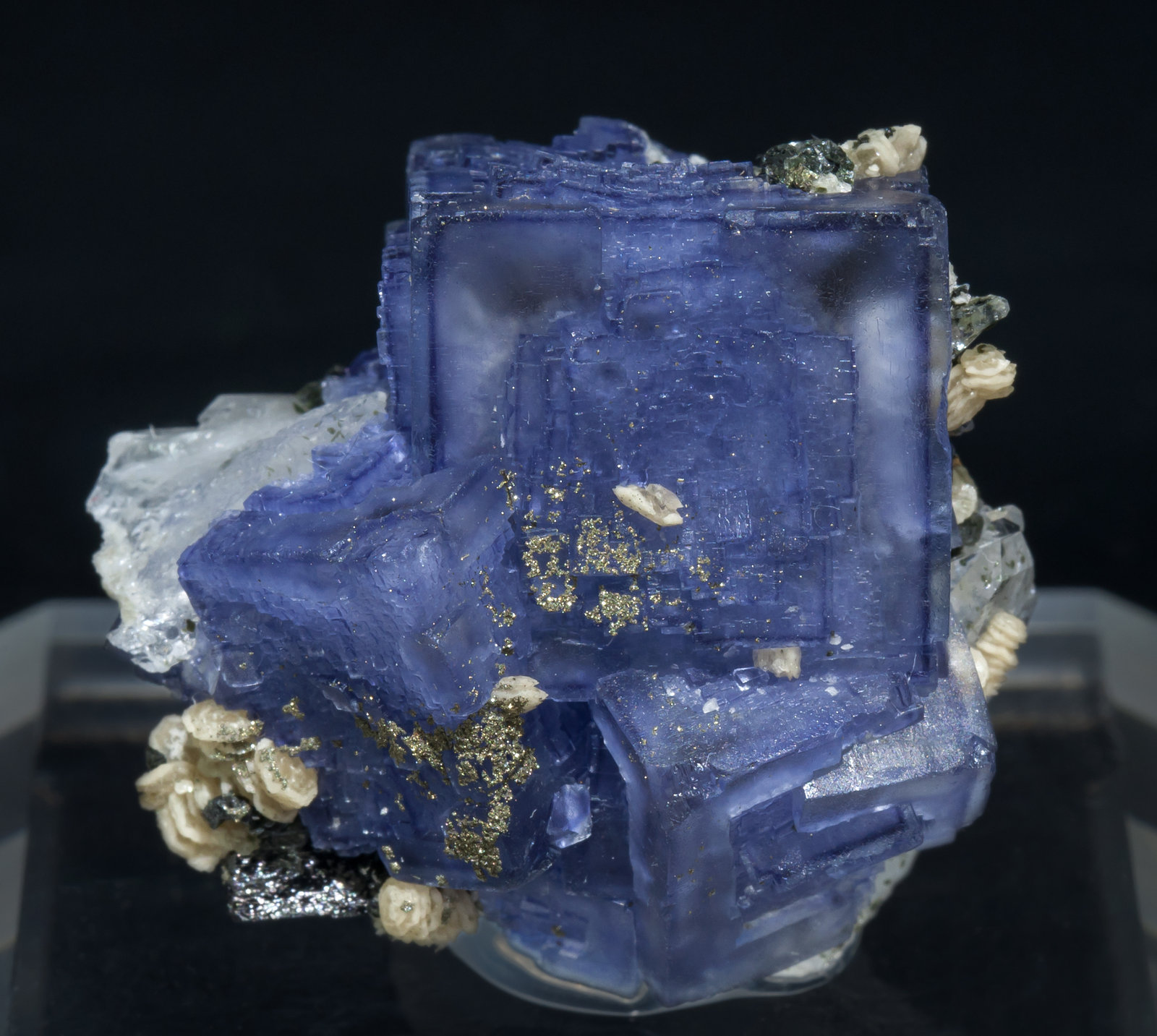 specimens/s_imagesAB1/Fluorite-NH11AB1f.jpg