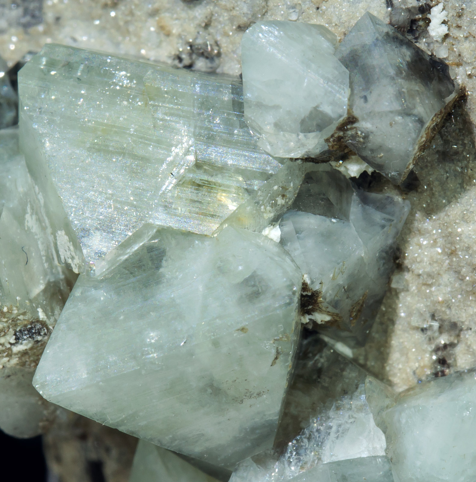 specimens/s_imagesAB1/Wardite-MF86AB1d.jpg