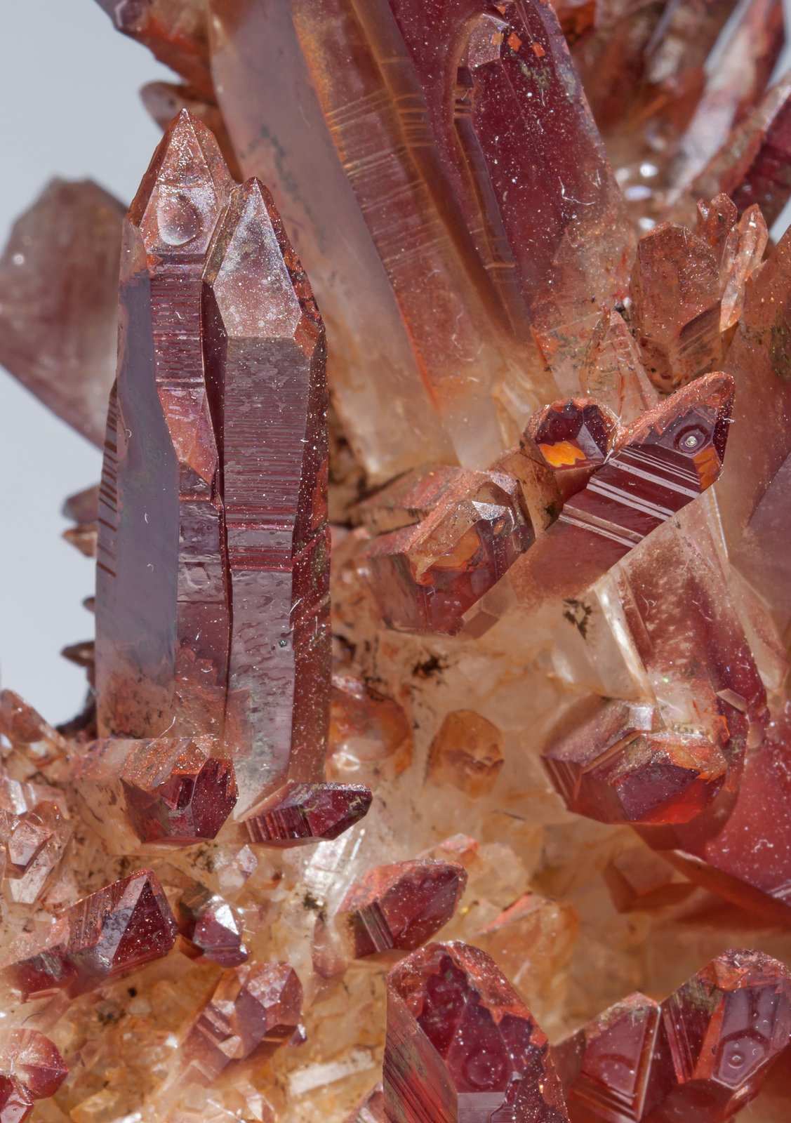 specimens/s_imagesAB2/Quartz_red-TC89AB2d.jpg