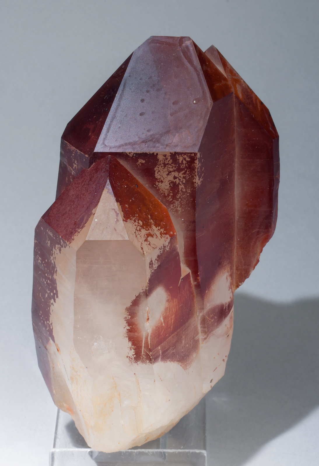 specimens/s_imagesAB2/Quartz_red-TK67AB2f.jpg