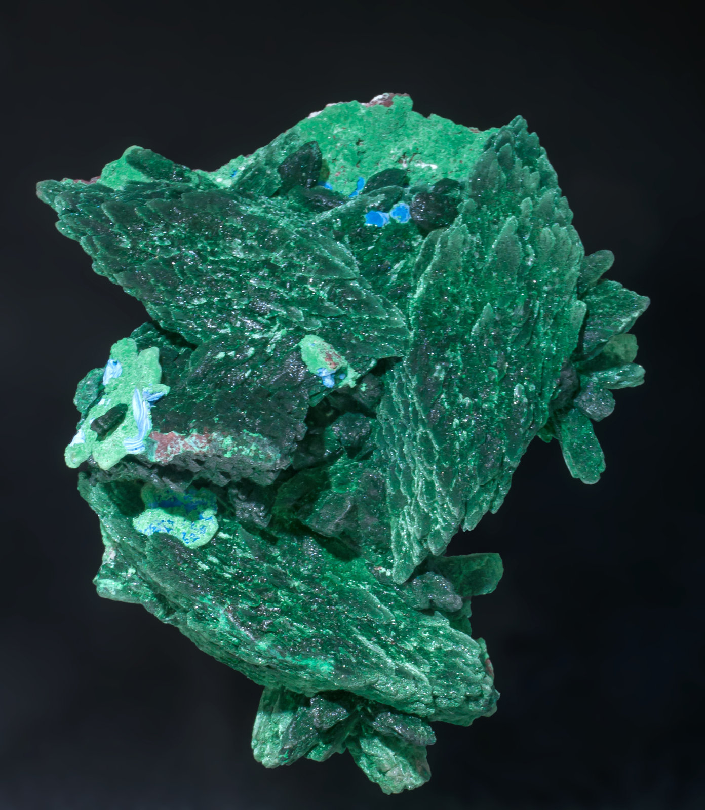 specimens/s_imagesAB3/Malachite-TF74AB3f.jpg