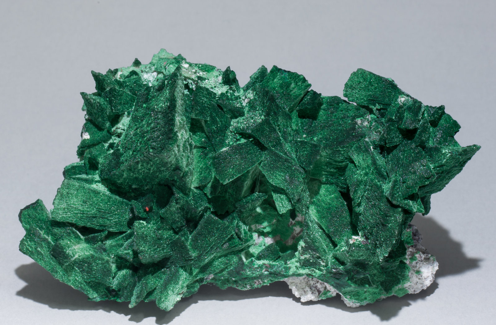 specimens/s_imagesAB3/Malachite-TN78AB3f.jpg