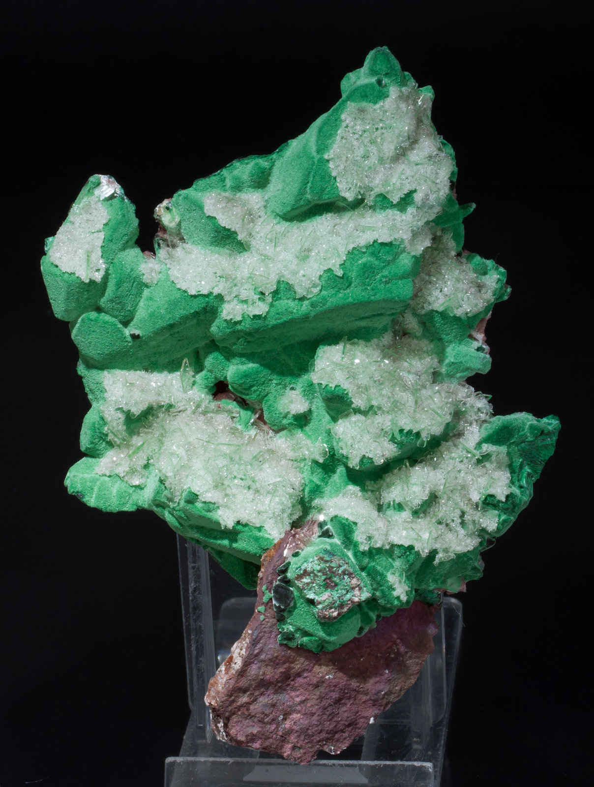 specimens/s_imagesAB3/Malachite-TR62AB3f.jpg