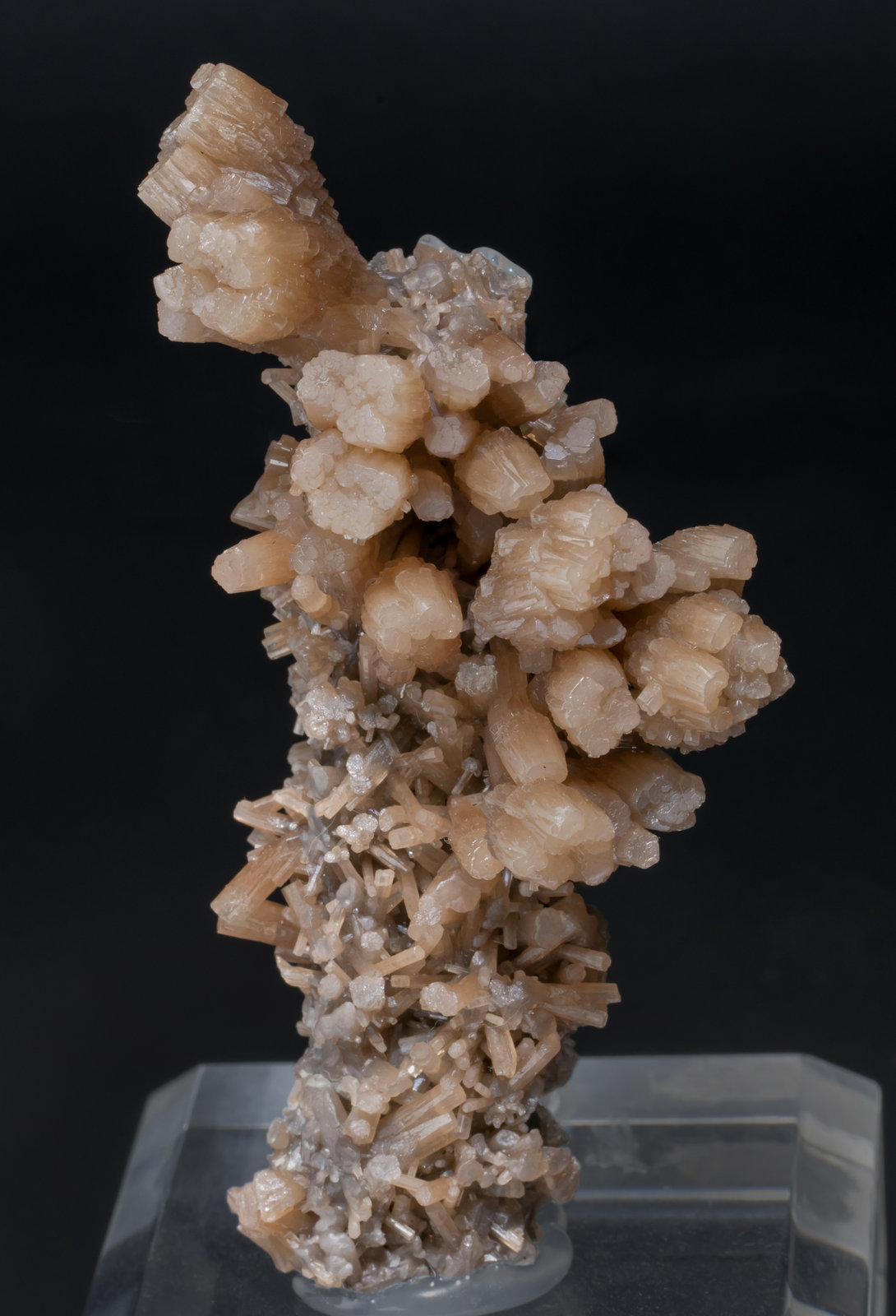 specimens/s_imagesAB3/Pyromorphite-TX66AB3f.jpg