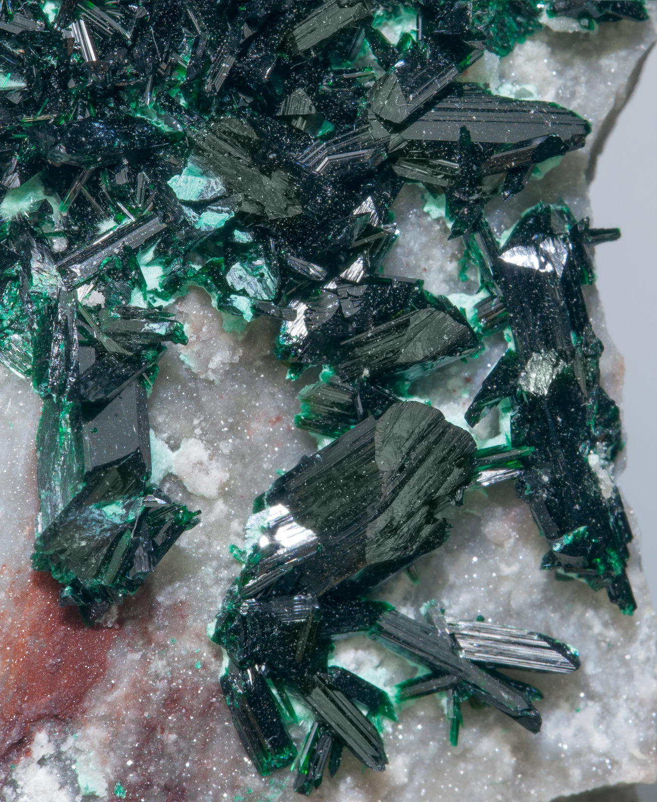 specimens/s_imagesAB4/Brochantite-TL79AB4d1.jpg