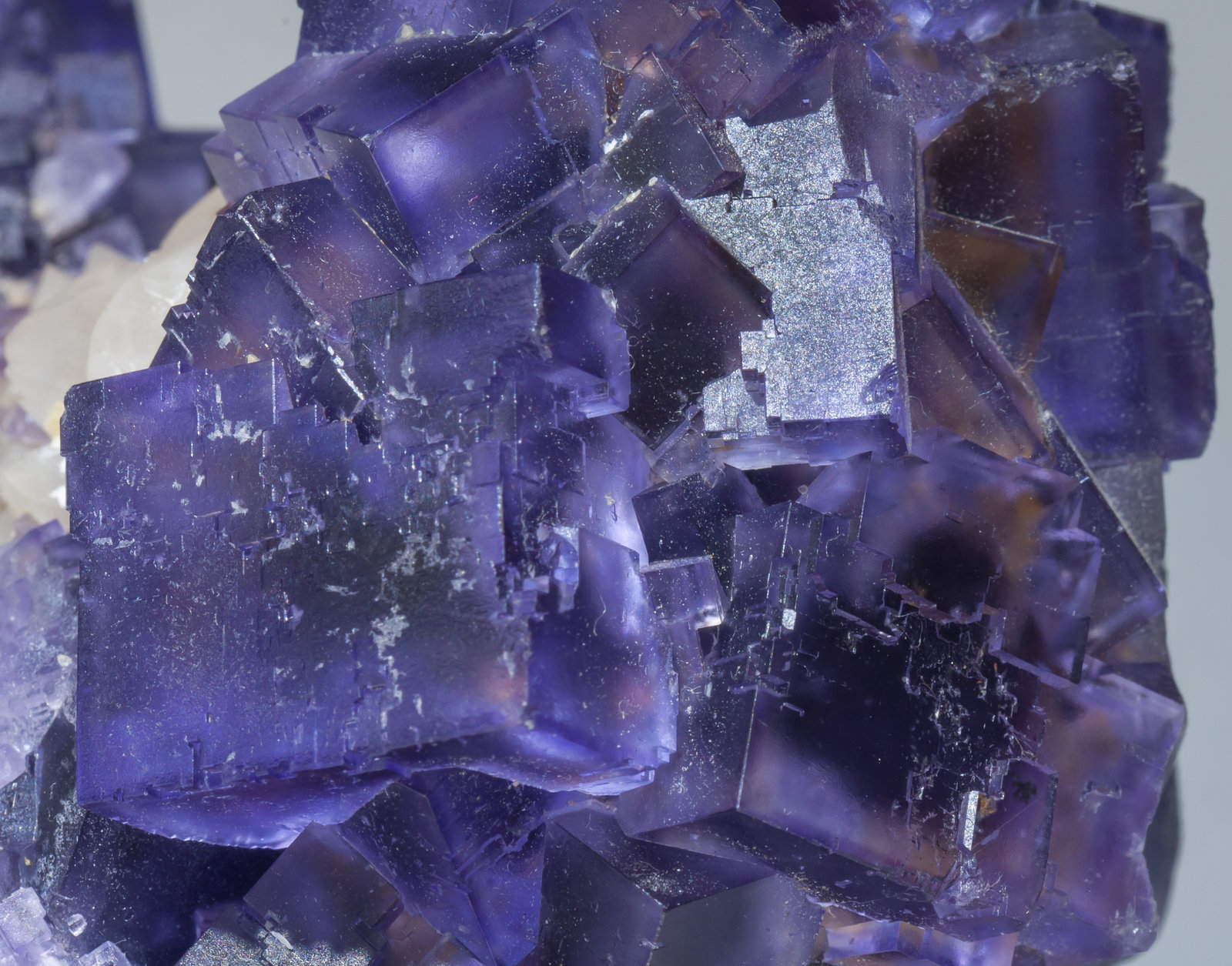 specimens/s_imagesAB4/Fluorite-NF48AB4d.jpg