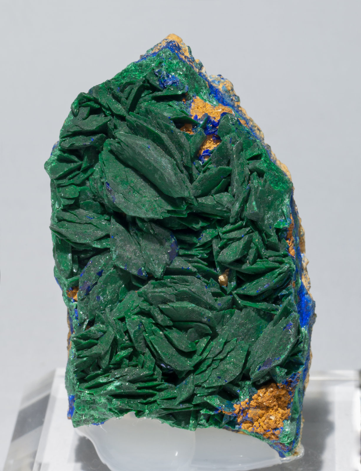 specimens/s_imagesAB4/Malachite-ST90AB4f.jpg