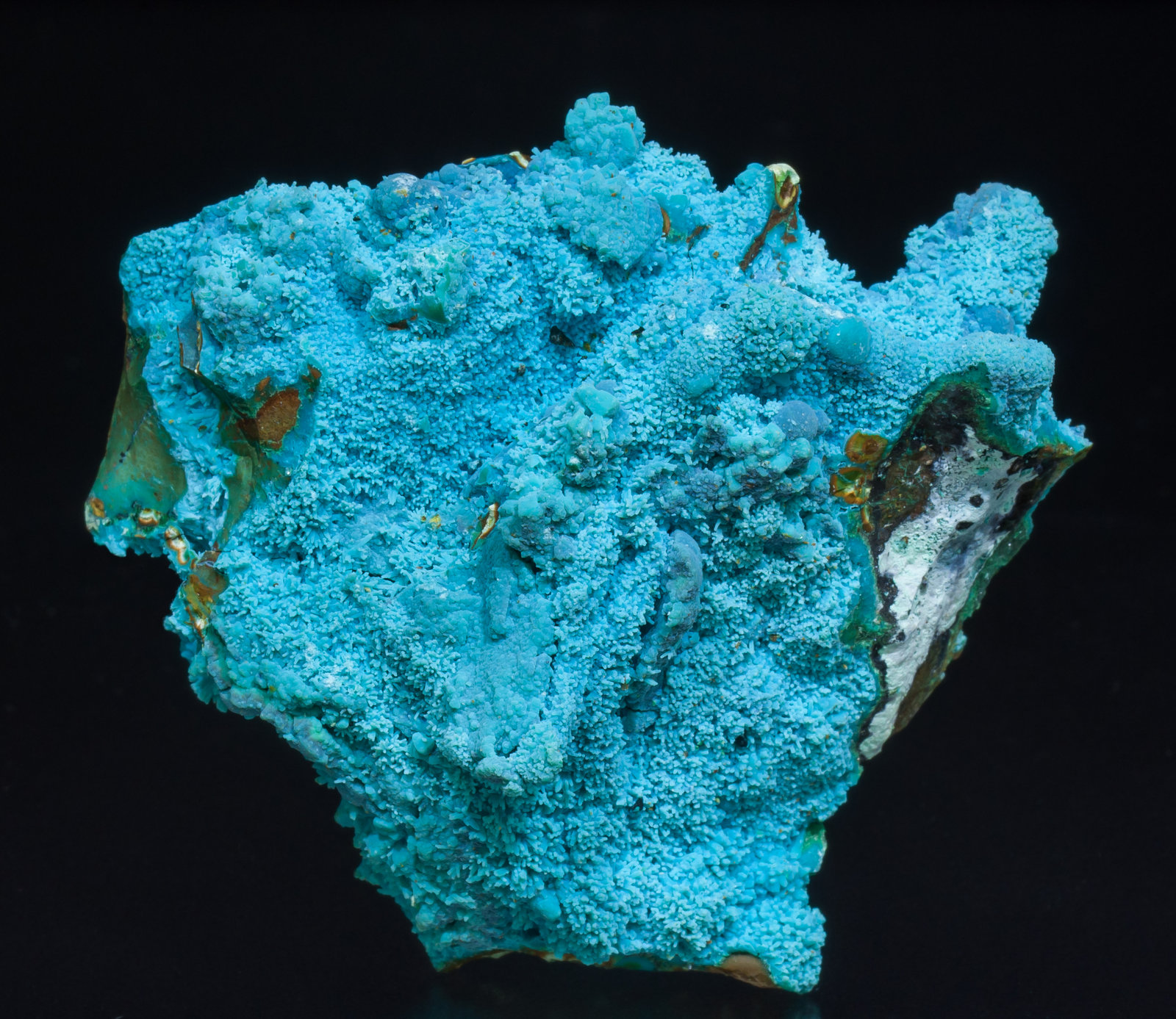 specimens/s_imagesAB5/Chrysocolla-NR11AB5f.jpg