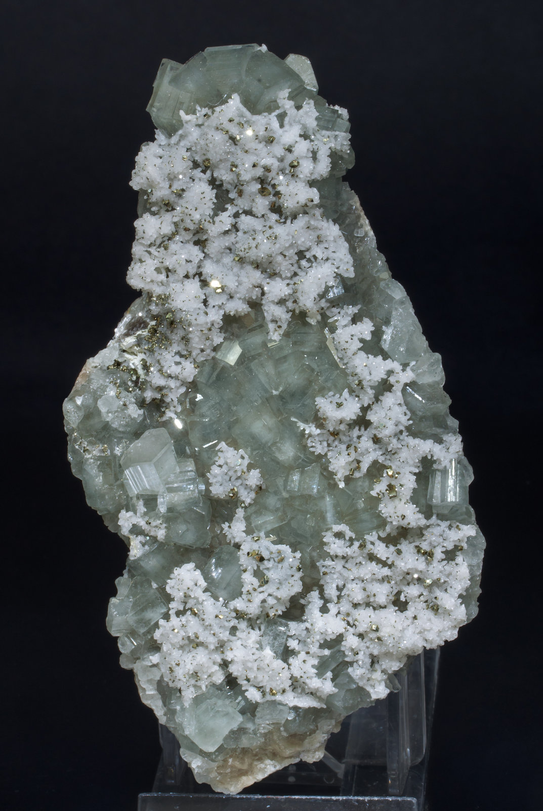 specimens/s_imagesAB5/Fluorapatite-NZ7AB5f.jpg