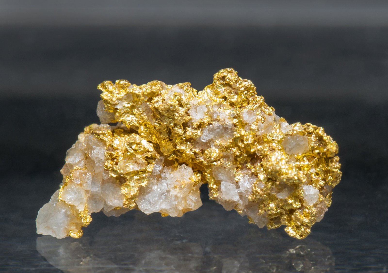 specimens/s_imagesAB5/Gold-TA59AB5f.jpg
