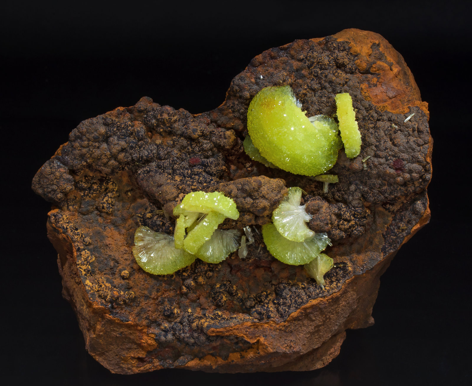 specimens/s_imagesAB7/Adamite_cuprian-NP96AB7f.jpg
