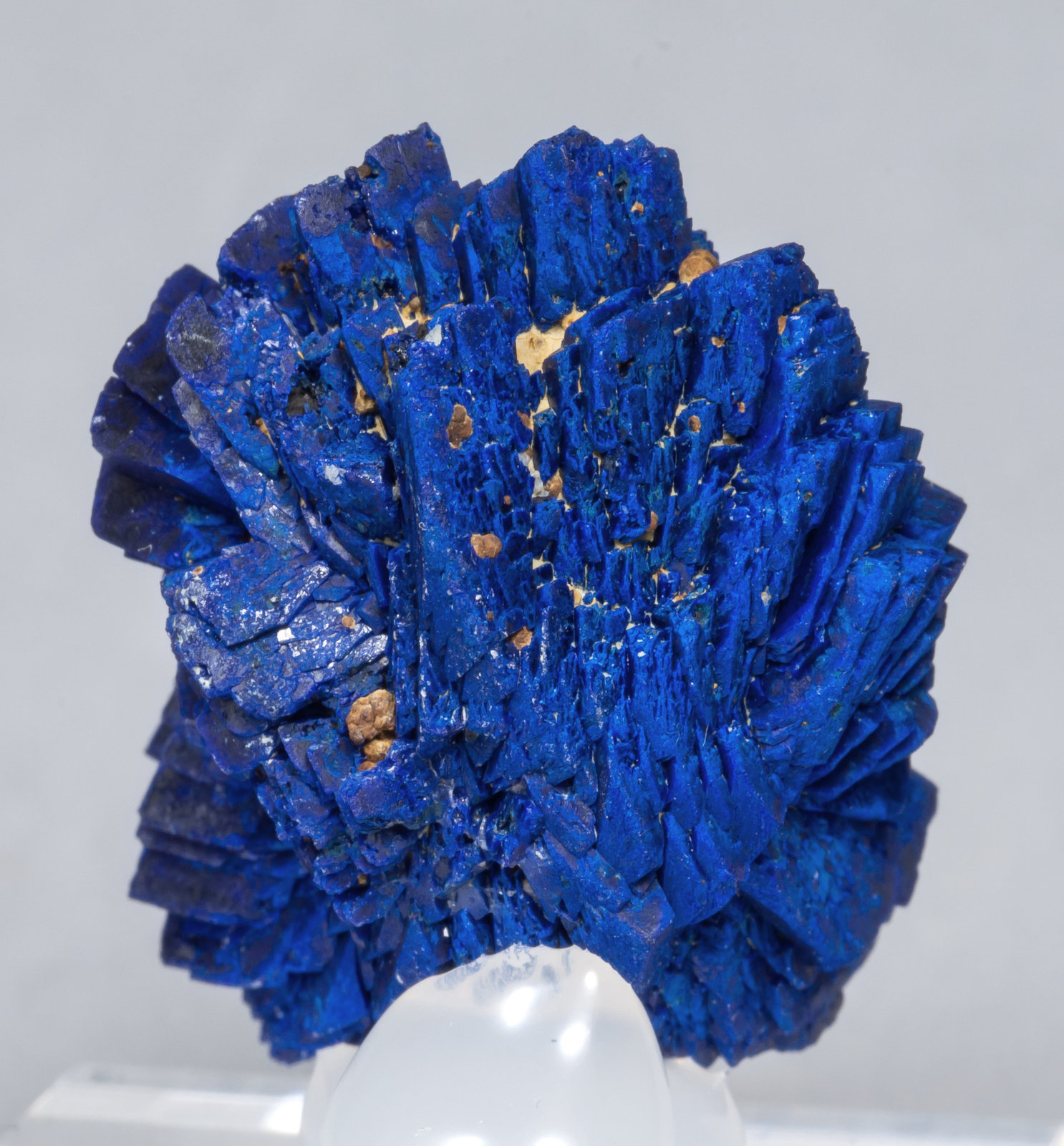specimens/s_imagesAB7/Azurite-TE14AB7r.jpg