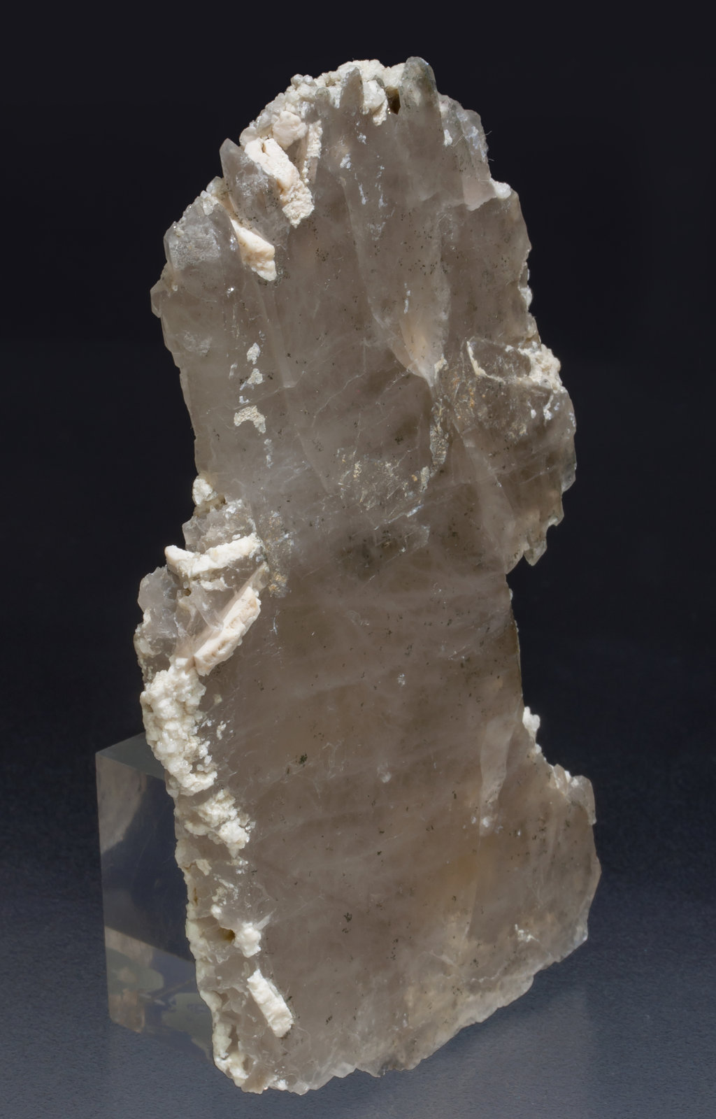 specimens/s_imagesAB7/Quartz_smoky-RF12AB7s.jpg