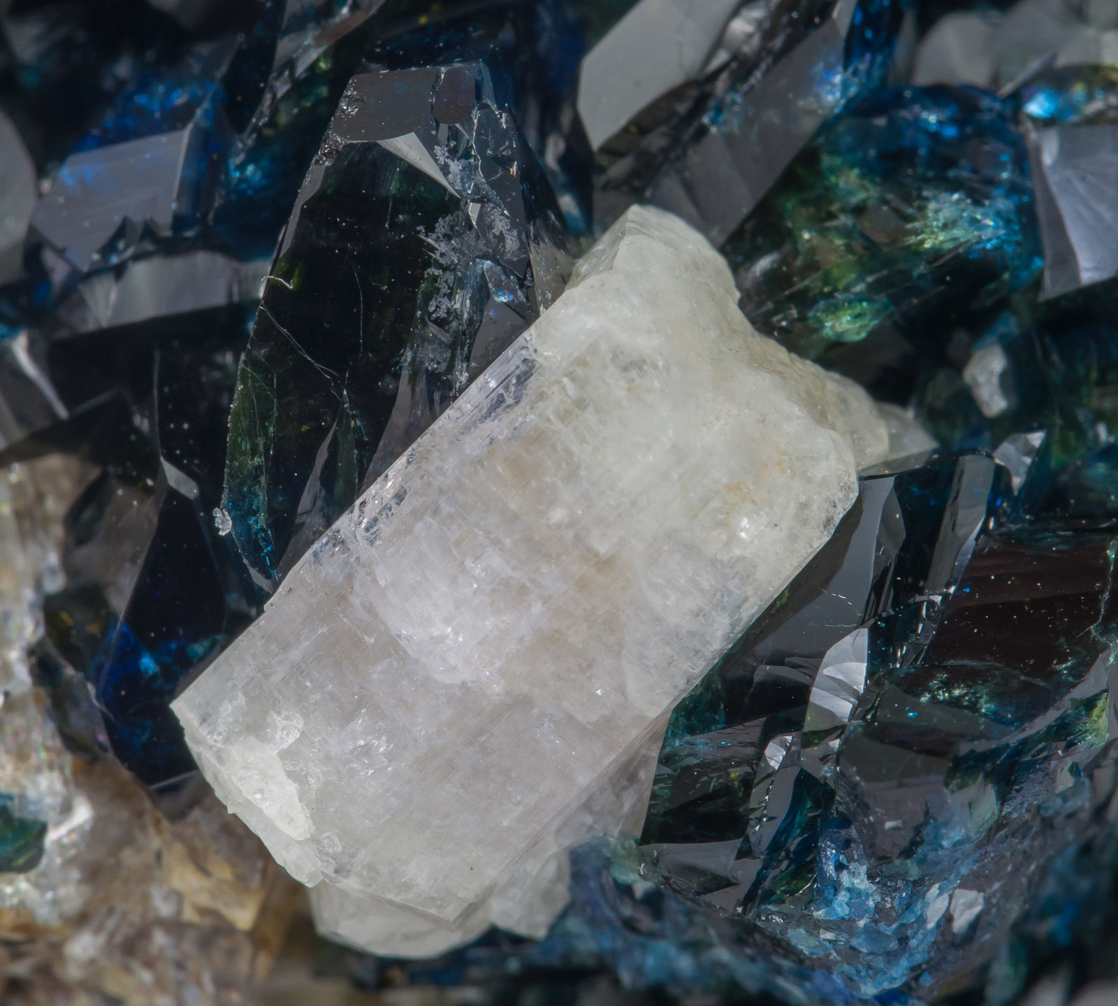 specimens/s_imagesAB8/Fluorapatite-MB86AB8d.jpg
