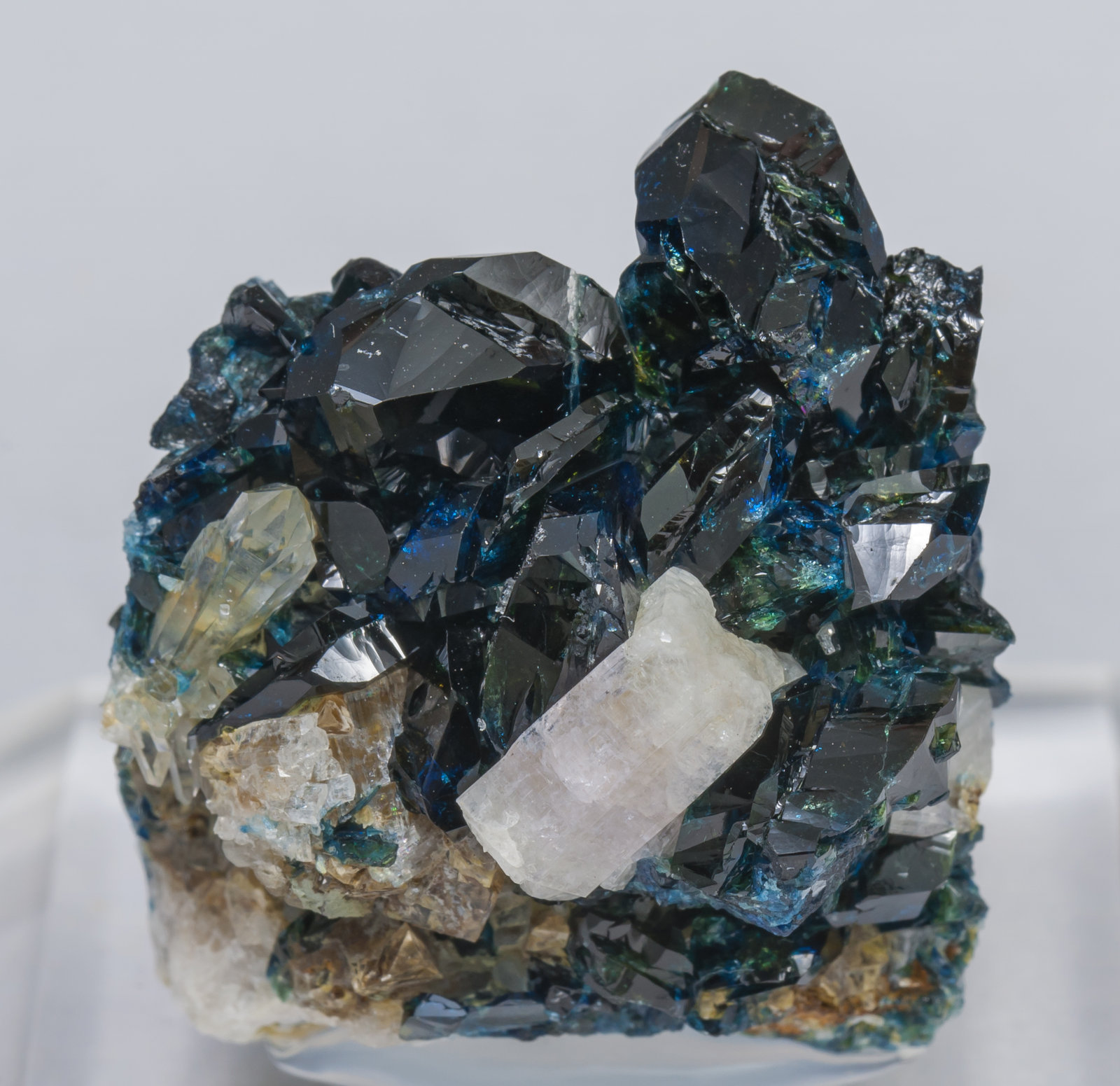 specimens/s_imagesAB8/Fluorapatite-MB86AB8f.jpg