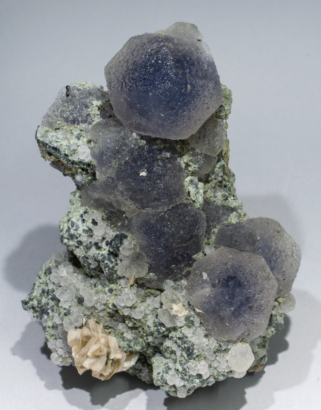 specimens/s_imagesAB8/Fluorite-MT47AB8f.jpg