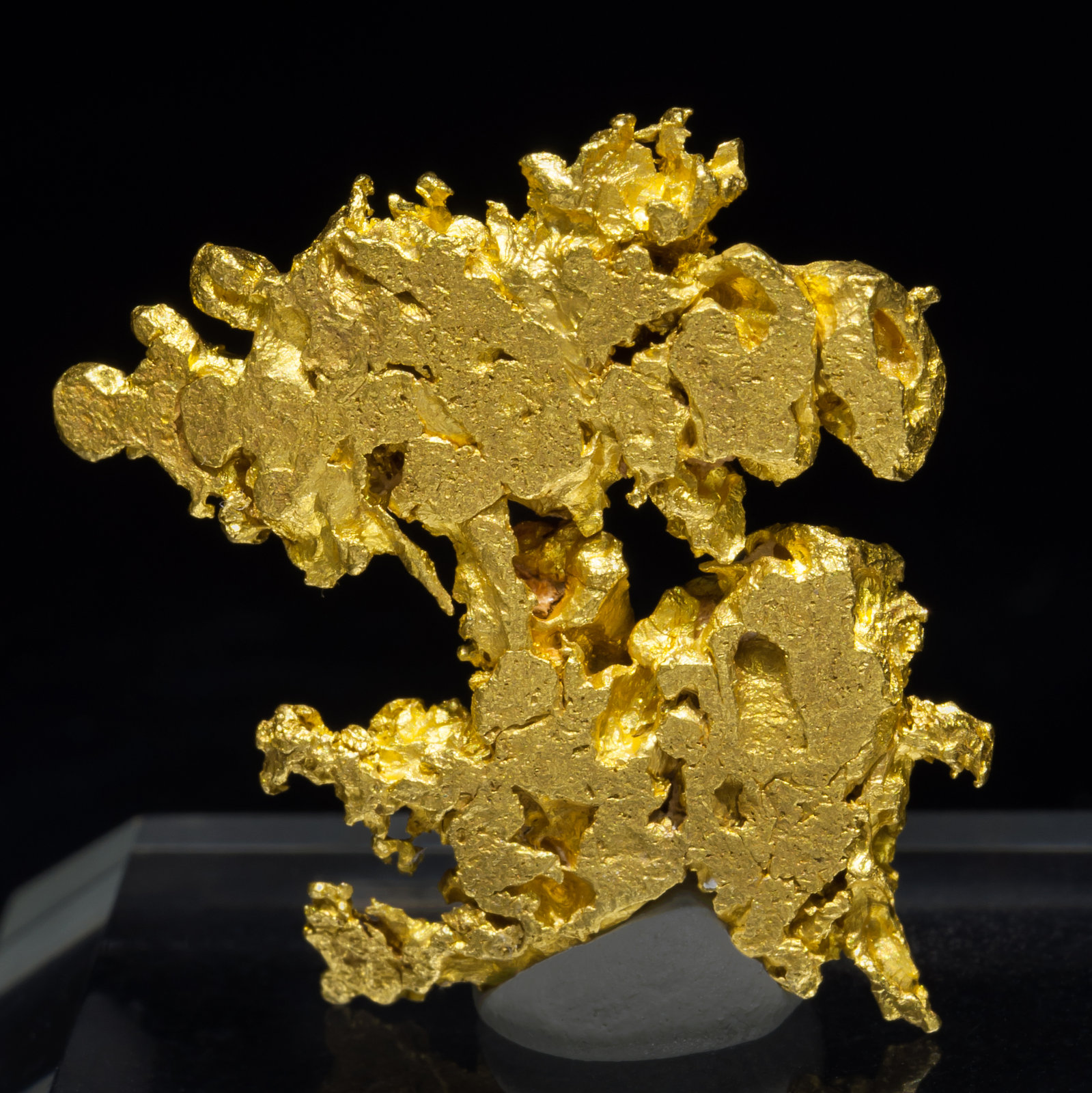 specimens/s_imagesAB8/Gold-TA16AB8r.jpg
